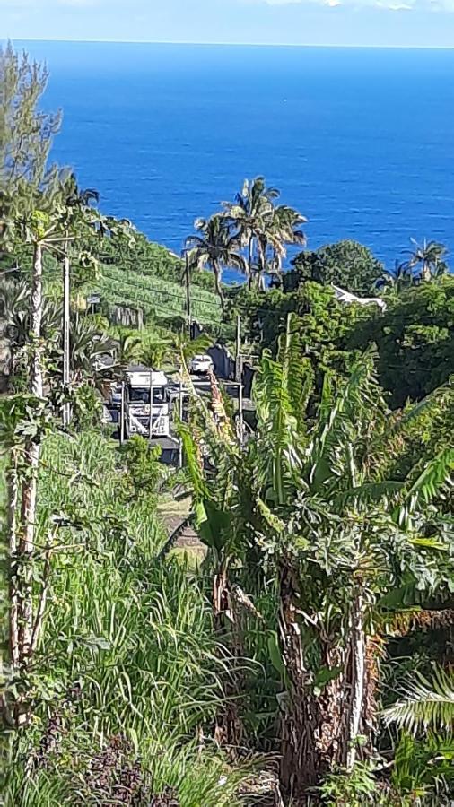 Chambre Vue Sur Mer Entre Grande Anse Et Manapany Petite Île 외부 사진